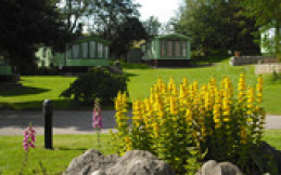 Hawthorns Caravan Park