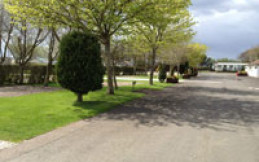 Riverview Caravan Park - Scotland