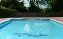 TREFACH CARAVAN PARK & COUNTRY PUB