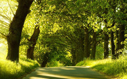 Springhouse Country Park