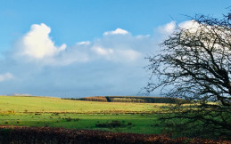 FOREST VIEWS CARAVAN PARK