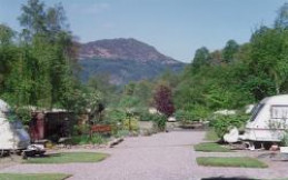 Twenty Shilling Wood Holiday Park