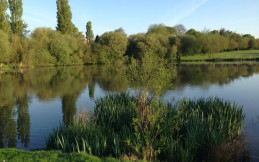 Pickmere Lake Country & Leisure Park