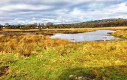 Fell End Caravan Park