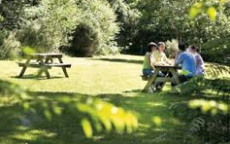 Kaowood Country Park / Woodland Lodges