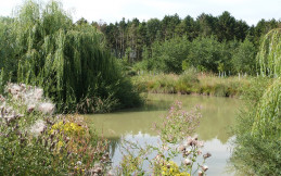 Highfields Country Holiday Fishing Retreat
