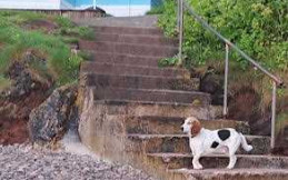 BRIXHAM HOLIDAY PARK