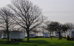 Bempton Chalet Park