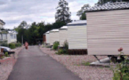 Beech Hedge Caravan Park