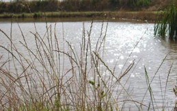 Holderness Country Park