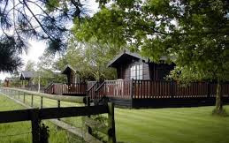 Puddock Farm Pine Lodges