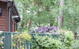 Forest Park Holiday Park, Norfolk