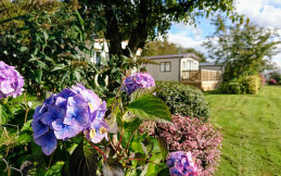 MOSS WOOD CARAVAN PARK