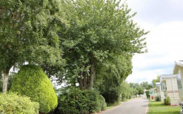 Preston Park Caravan Park