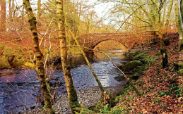 RIVER MEADOW HOLIDAY CENTRE