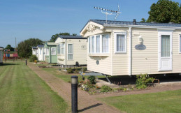 Tingdene Saddlebrook Chase
