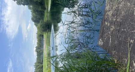 SwanLake lodges 