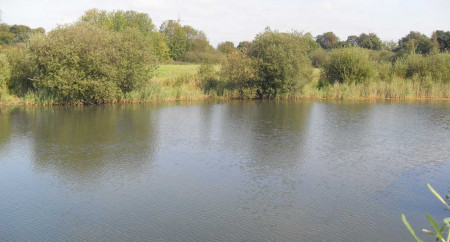 7 Lakes Country Park 21