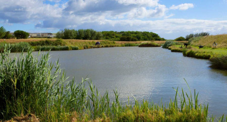 Aldbrough Leisure Park 1