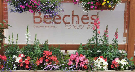 Beeches Holiday Park 3
