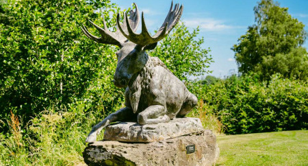 Borders Hideaway Holiday Home Park 20