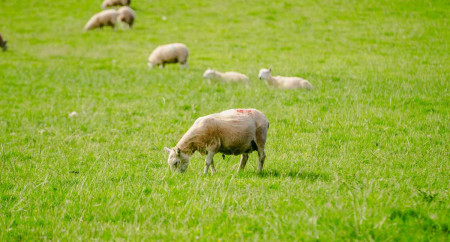 Hay On Wye Caravan Park 11