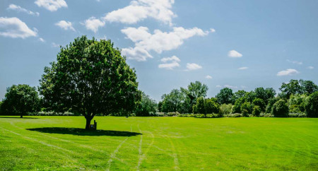 Lickhill Manor Caravan Park 19