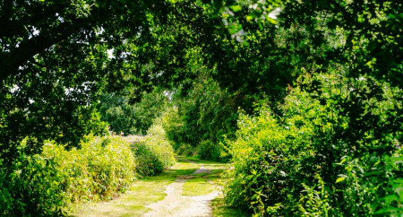 Lickhill Manor Caravan Park 22
