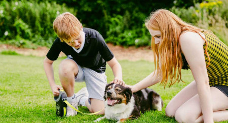 Lickhill Manor Caravan Park 24