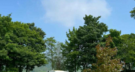 Littondale Country Leisure Park 9