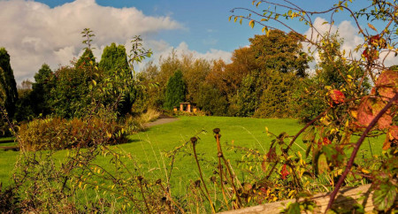 Llwyn-celyn-holiday-home-park-12