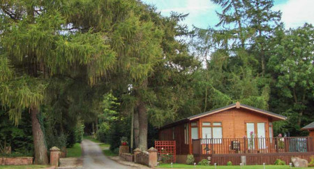 Mouswald Lodge Park 7