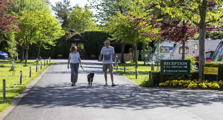 Oakdown Holiday Caravan Park 11
