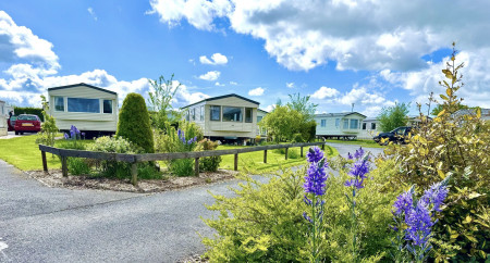 Oakmere Caravan Park 2