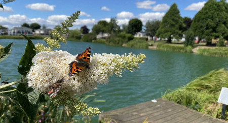 Patrington Haven Leisure Park 5
