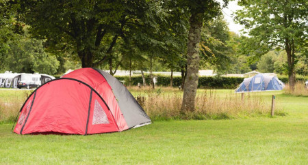 Camping at Harford Bridge Park