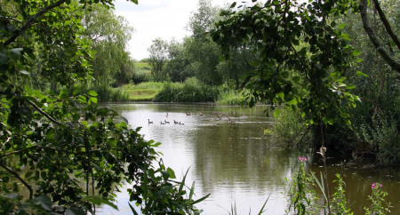 Pisces Country Park 60