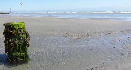 Scotts-holiday-village-west-wittering-west-sussex-8