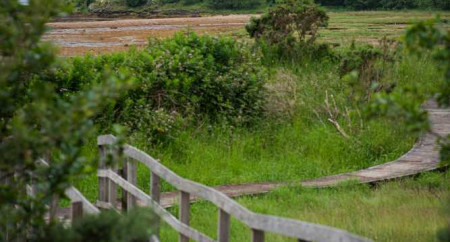 Strathlachlan Caravan Park 3