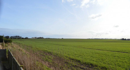 Tingdene Kenwood Colleys 4